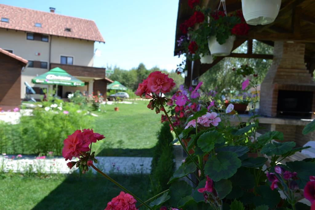Pensiunea Royal Garden Hotel Simbata de Sus Exterior photo
